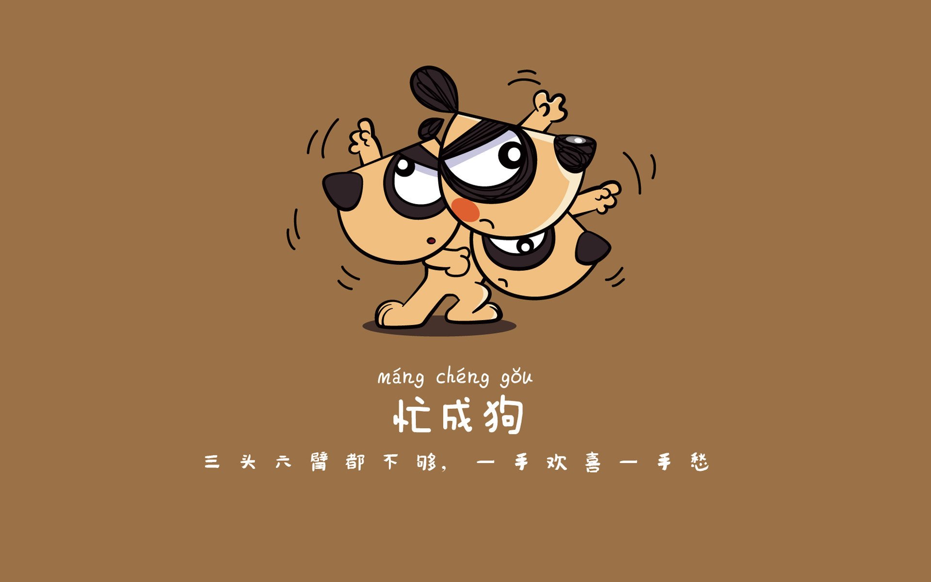 车手家族传奇：几代车手的速度传承，车手结局