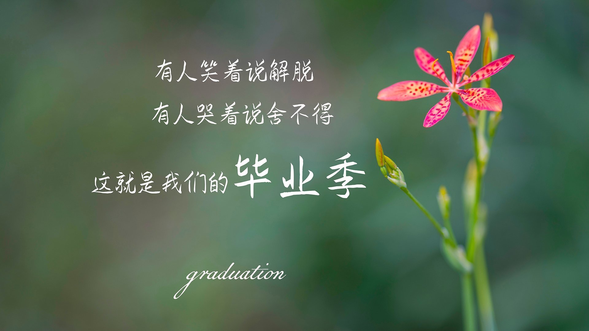 精湛技术使球队门将功不可没，稳健守门护住球门，守门员技术