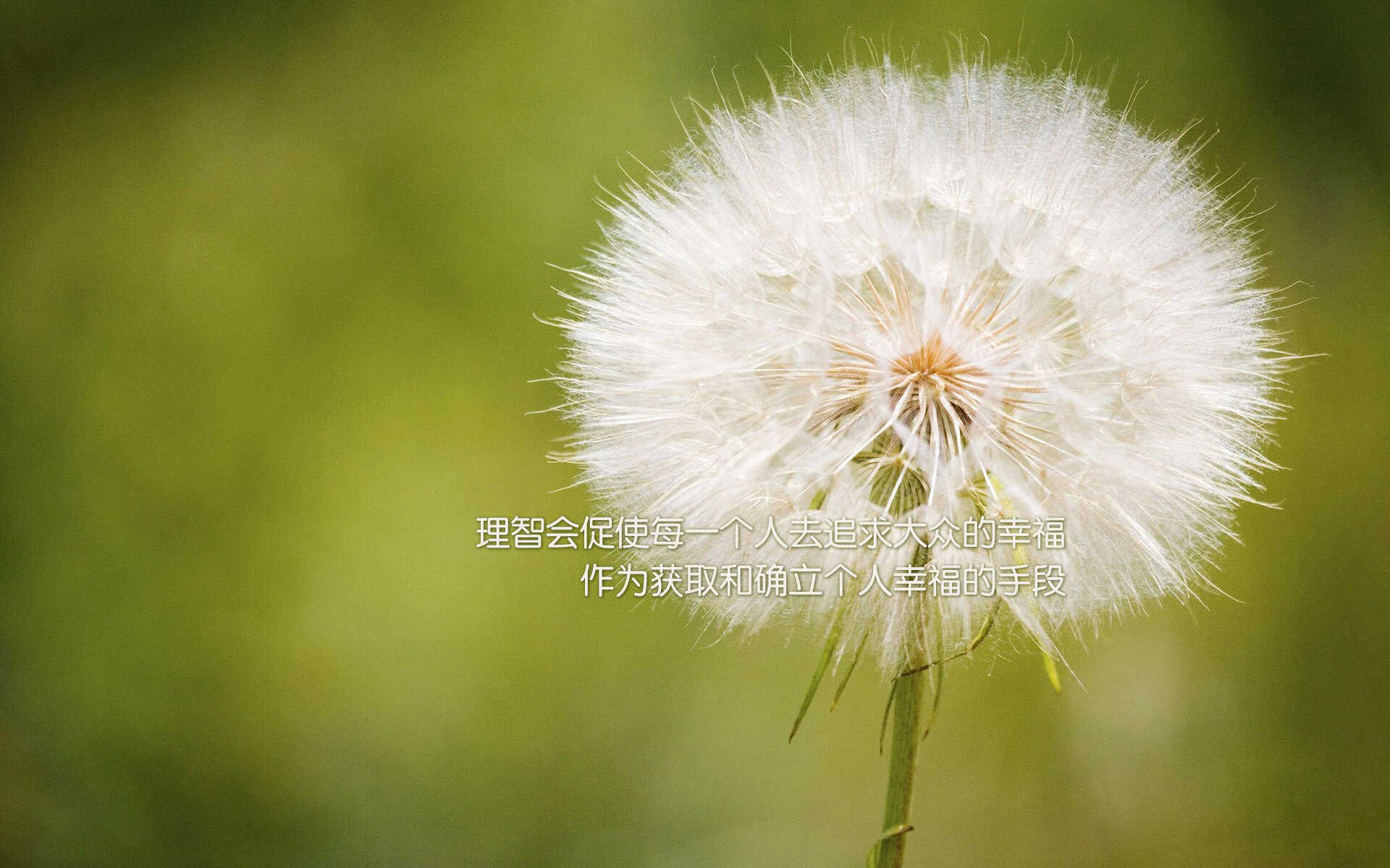 红蓝大战：湖人与太阳之间的火爆对决备受瞩目，湖人和太阳打架