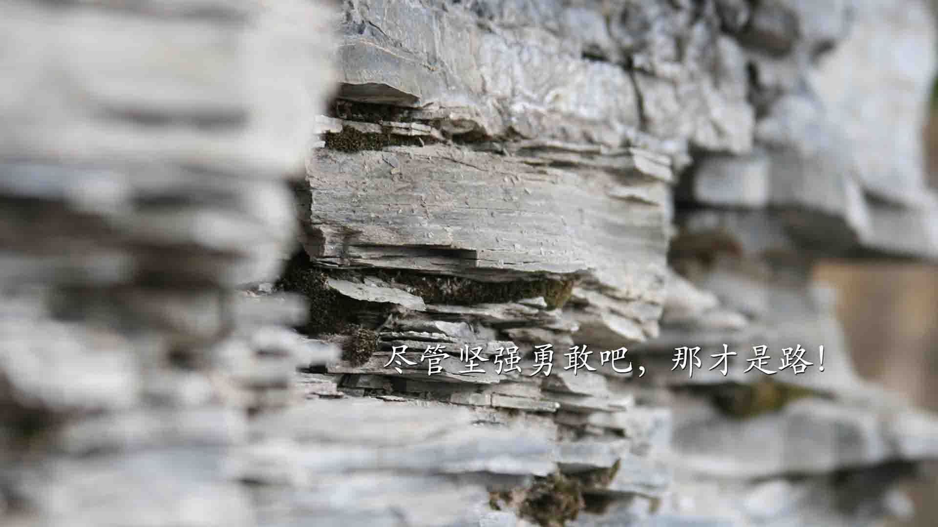 美因茨遭遇败仗，德甲保级形势不容乐观，美因茨换主教练了吗