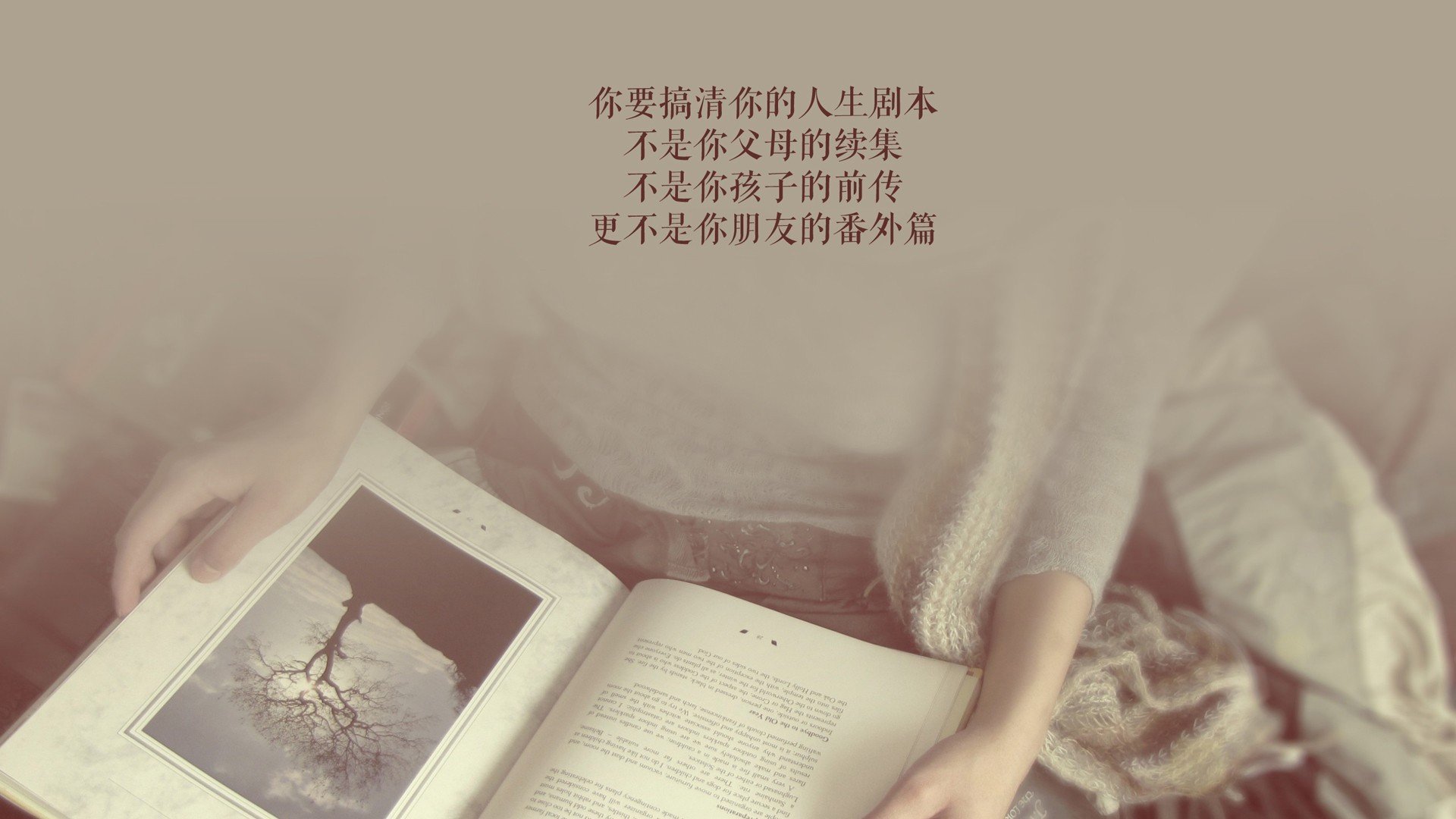 美国队赛制分析：如何在复杂赛制中保持团队默契，美国队比赛视频