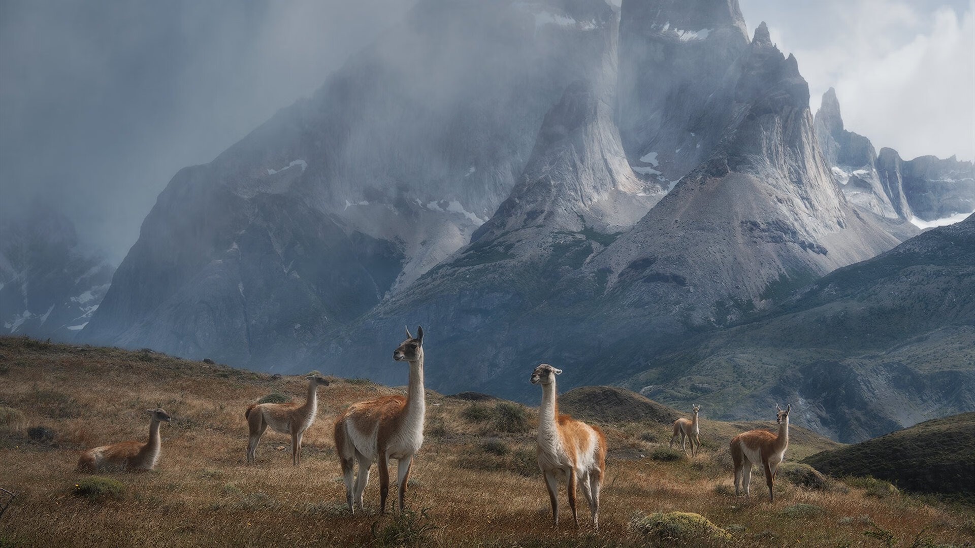 中国组合决赛精彩瞬间成为焦点，中国组合排名榜