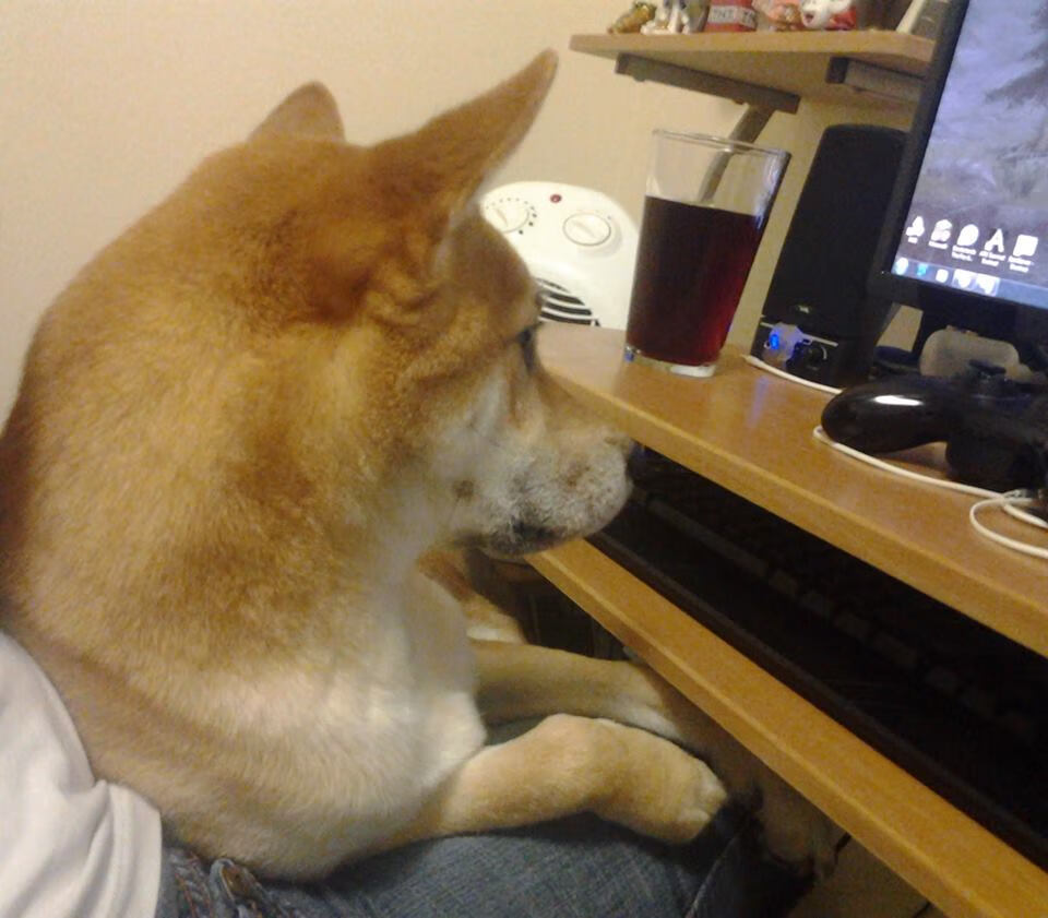 基层体育发展提速城市间赛事交流日益频繁,基层体育组织