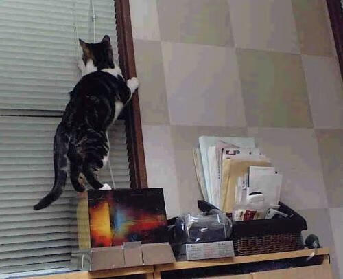 爱游戏娱乐-李娜加盟国内青训项目任导师，李娜训练视频