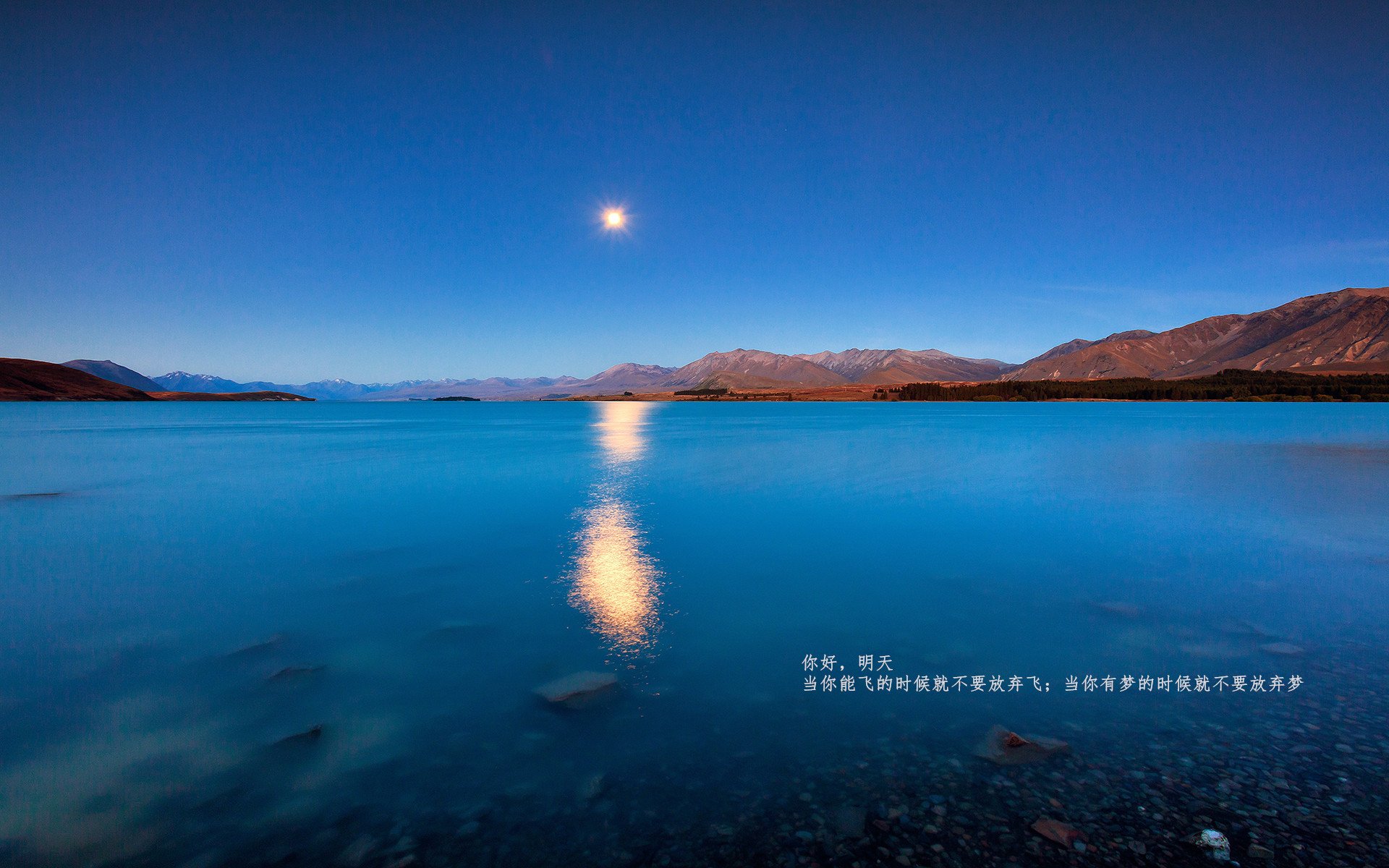 球员社媒粉丝破百万，个人影响力吸引赞助商，球员赞助版是什么意思