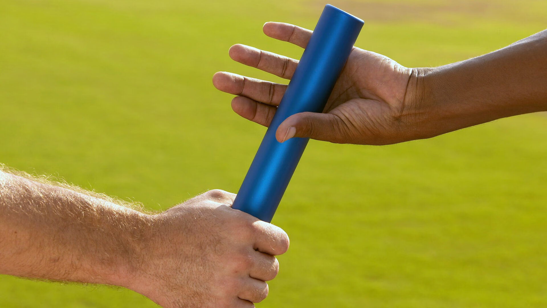 未来趋势:联盟的“绿色计划”将引领体育环保新风尚,绿色联盟应用体验标准